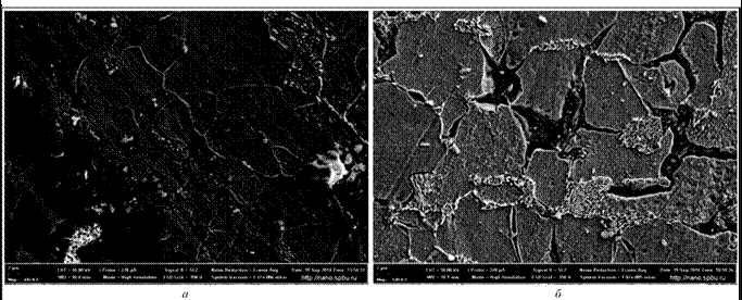 Рис. 9. Структура металла перегретого участка коллектора со стороны внутренней поверхности по данным растровой электронной микроскопии: а – x4000; б – x8000