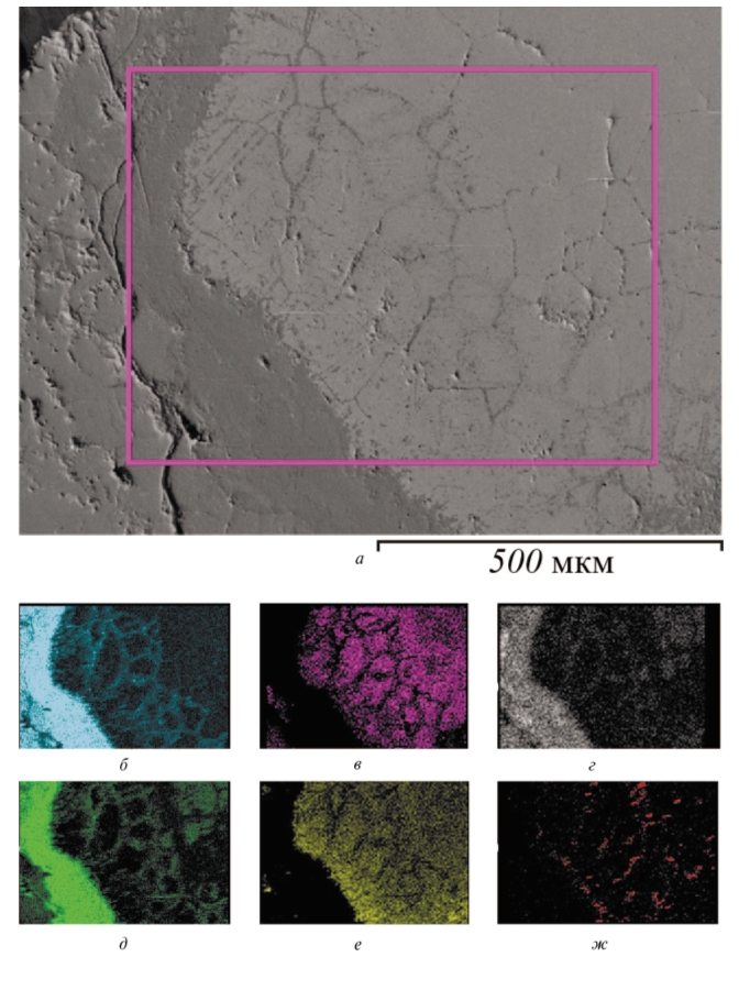 Рис. 2. Результаты электронно-зондового микроанализа коррозионно-стойкой стали: а– структура металла (внутренний слой); б – содержание кислорода; в – содержание железа; г – содержание марганца; д – содержание хрома; е – содержание никеля; ж – содержание титана