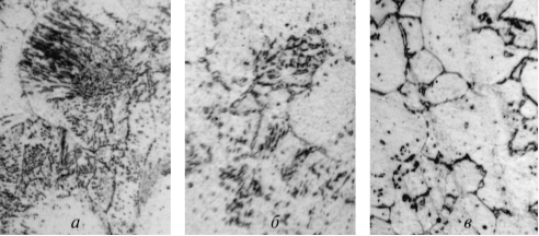 Рис. 2. Структура металла зон однородного сварного соединения стали 15Х5М после 240 тыс. ч эксплуатации при температуре 580°С. 2 000: а – основной металл трубы 1 (140 НВ); б – основной металл трубы 2 (132 НВ); в – мягкая прослойка зоны термического влияния с микротрещинами (120 НВ)